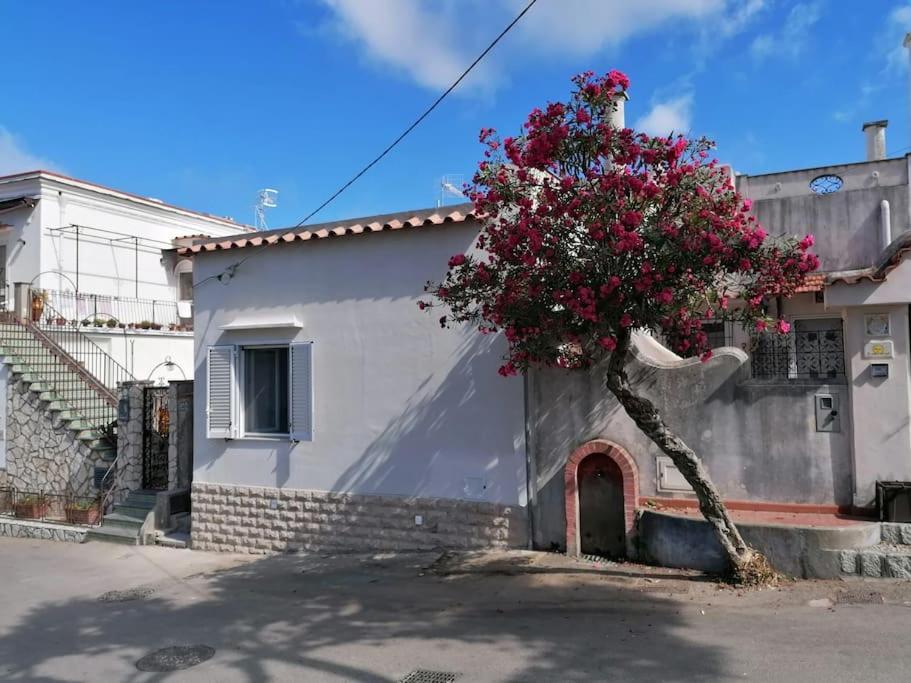 Sweet Home, Anacapri Bagian luar foto